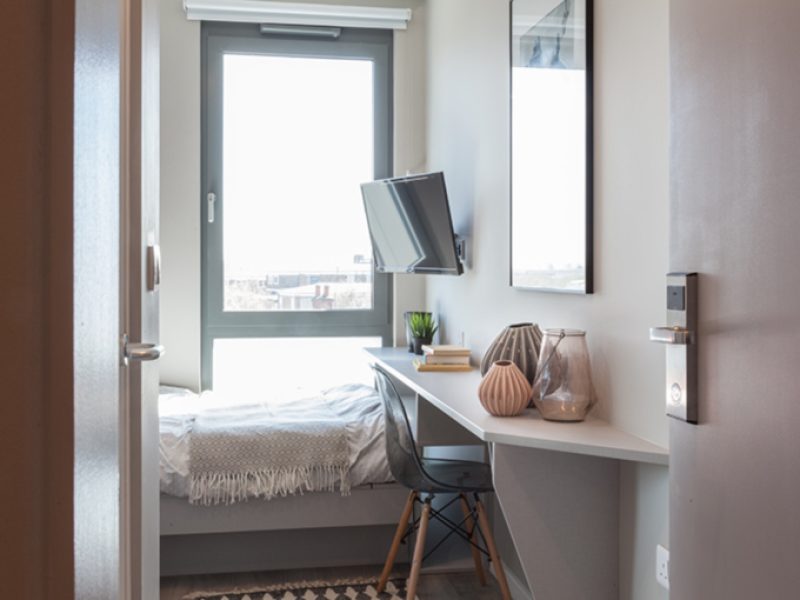 the-collective-old-oak (1)