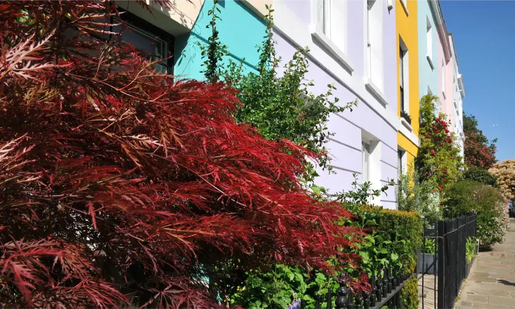 raleigh house neighbourhood (6)